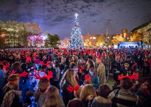 Greensboro, festival of lights, nc, december