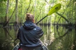 camping, kayak, paddling, platform, North Carolina