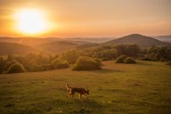 Gorgeous sunset and soft light in Floyd, Virginia, captured at the Rocky Knob Recreation Area off of the Blue Ridge Parkway